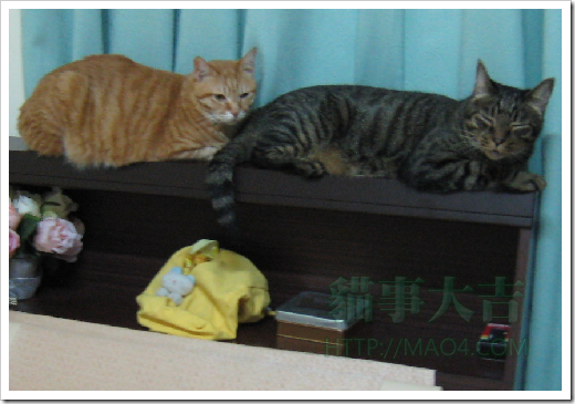 sshot-48